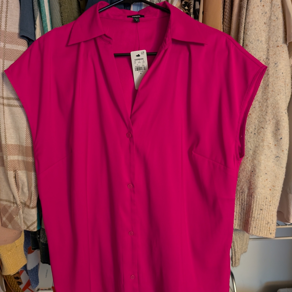 Express Pink Boxy Cap Sleeve Blouse with Notched Collar